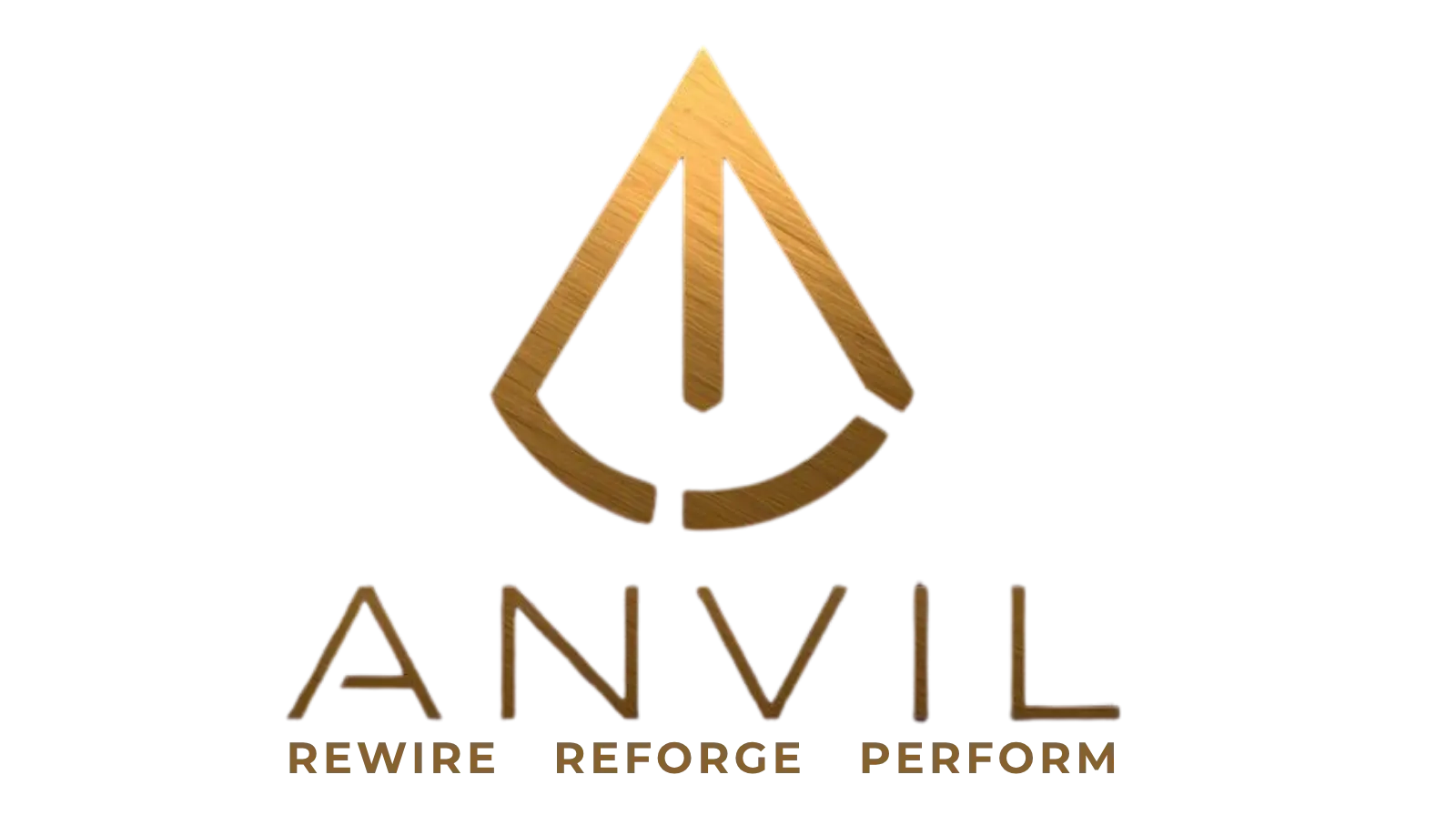 ANVIL - Rewire. Reforge. Perform.